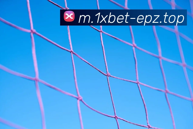 1xbet官网平台生态图